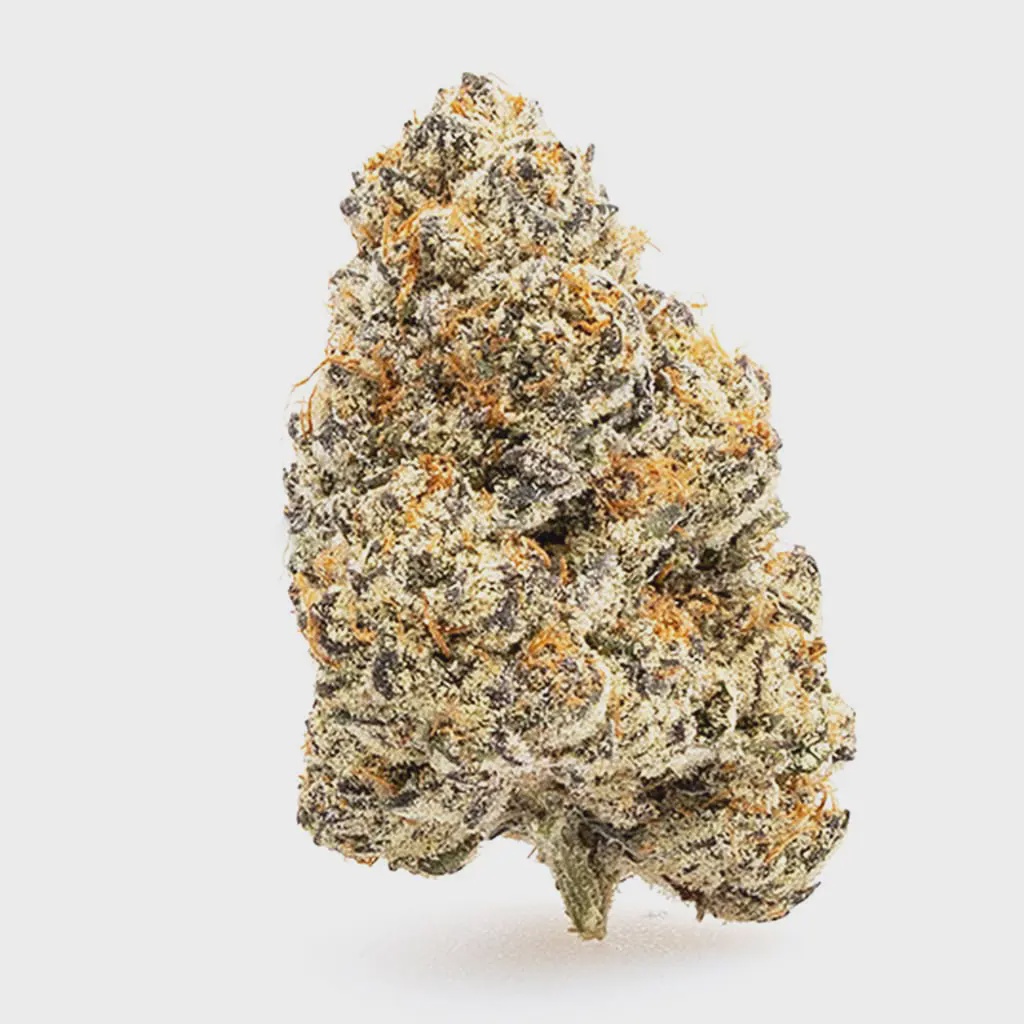 THCa Flower Banana Zkittlez / 1 g